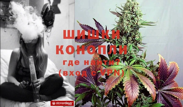каннабис Слюдянка