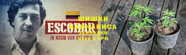 скорость Сосновка