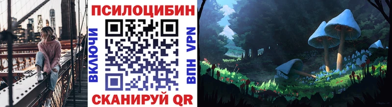 kraken как войти  Ростов-на-Дону  Псилоцибиновые грибы GOLDEN TEACHER  где найти  